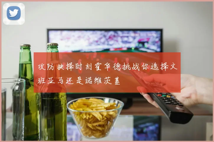 攻防抉择时刻霍华德挑战你选择文班亚马还是诺维茨基
